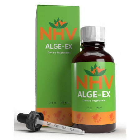 Alge-Ex