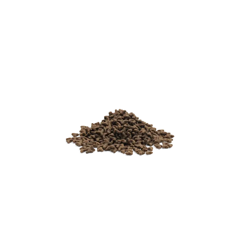 LITTLE LION – Recette chaton  Ultra-Premium British Heritage multi protéines