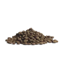 THE PANTHER – Recette chats adultes Ultra-Premium British Heritage multi protéines