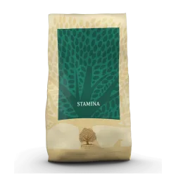 Stamina – Recette Ultra-Premium British Heritage énergie & performance