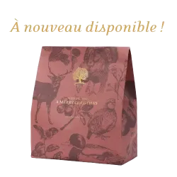 Coffret de Noël ESSENTIAL FOODS: friandises pour chien