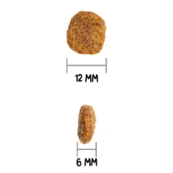 OWNAT ULTRA Medium Light Dog – Croquettes chien adulte race moyenne faible en matières grasses