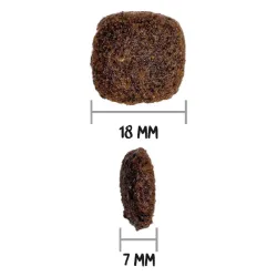 OWNAT ULTRA Medium Adult Dog – Croquettes poulet frais pour chien adulte race moyenne