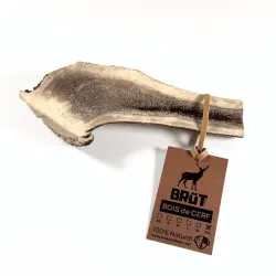 Bois de cerf fendu