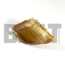 Sabots de Bœuf BRÜT pour chien : friandises succulentes et savoureuses