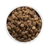 OWNAT CARE DIGESTIVE (DOG)