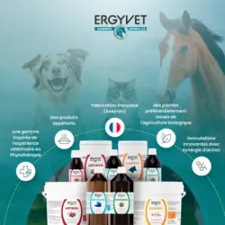 Ergyvet Articulaire Harpagophytum – Complément naturel articulations chien et chat