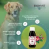 Ergyvet Articulaire Harpagophytum – Complément naturel articulations chien et chat