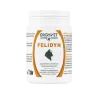 Ergyvet Felidyn 55g