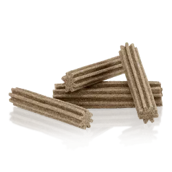 Friandise dentaire premium au Probiotiques & Cannelle pour chiens – Essential Foods Probiotics & Cinnamon Teeth Delights