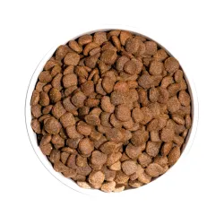 OWNAT GF JUST DUCK - Pour chien 14 kg