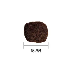 GRAIN FREE HYPO LAMB