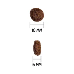 Pour les chiens adultes de 1 à 10 kg, spécialement formulé avec un contenu calorique élevé, est très riche en protéines pour sat