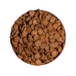 OWNAT ULTRA Mini Adult Dog – Croquettes premium poulet frais pour petit chien adulte