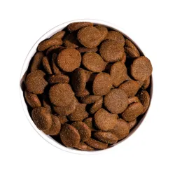 OWNAT ULTRA Maxi Adult Dog – Croquettes premium poulet frais pour grand chien adulte