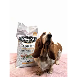 GRAIN FREE HYPO LAMB