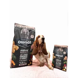 OWNAT ULTRA Medium Adult Dog – Croquettes poulet frais pour chien adulte race moyenne