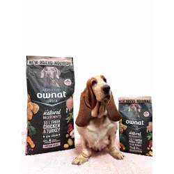 OWNAT ULTRA Medium Adult Dog – Croquettes poulet frais pour chien adulte race moyenne