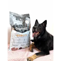 Ownat Care Mobility Chien