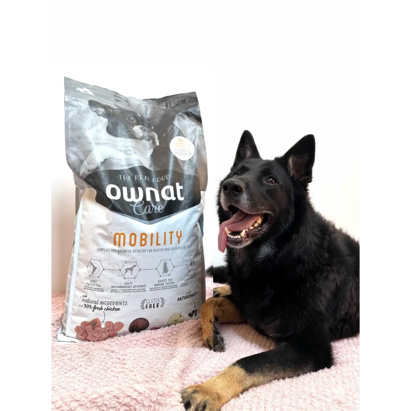 Ownat Care Mobility Chien