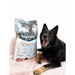 Ownat Care Mobility Chien