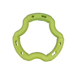 Jouet chien TPR anneau Green Apple 21cm