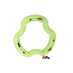 Jouet chien TPR anneau Green Apple 21cm