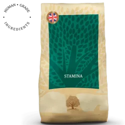Stamina – Recette Ultra-Premium British Heritage énergie & performance