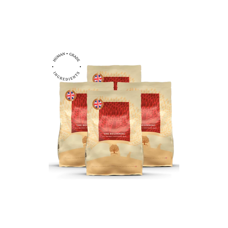 Lot de 4 Beginning – Recette Ultra-Premium British Heritage chiot