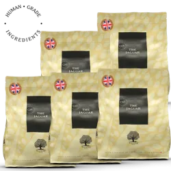 LOT DE 5 THE JAGUAR – Recette Ultra-Premium British Heritage multi protéines
