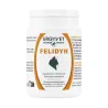 Ergyvet Felidyn 55g