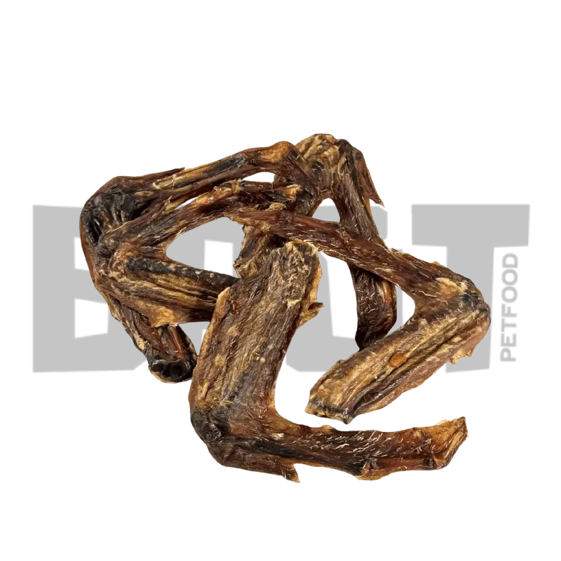 Ailes de canard séchées pour chien – Friandise naturelle croustillante