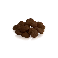 THE GENTLE GIANT – Friandises naturelles au saumon pour chats | ESSENTIAL FOODS