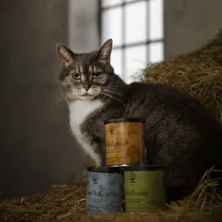 THE SILENT SHADOW – Friandises croustillantes pour chats | ESSENTIAL FOODS