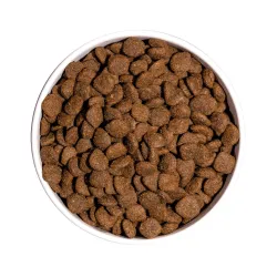 OWNAT ULTRA MEDIUM STERILIZED (DOG)