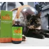Matricalm pour chats