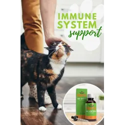 BK Detox pour chats