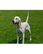 Billy